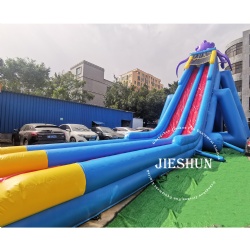 Octopus inflatable slides