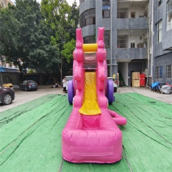 macarons inflatable slides
