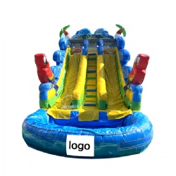 Wholesale large 15ft tall parrot slide kids dual slide inflatable water slide with pool for sale