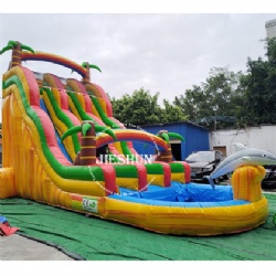 Coconut palm inflatable slides